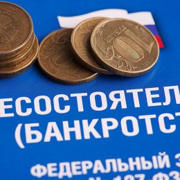 Федеральный закон "О несостоятельности (банкротстве)"